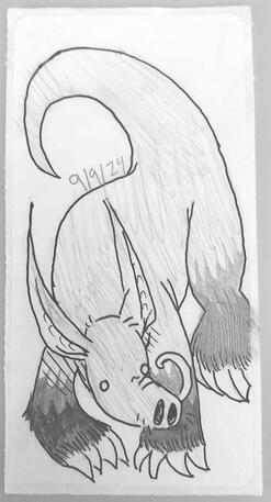 9/9/24 aardvark