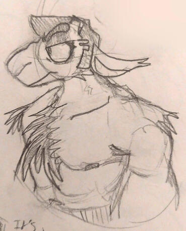 4/4/24 sheep