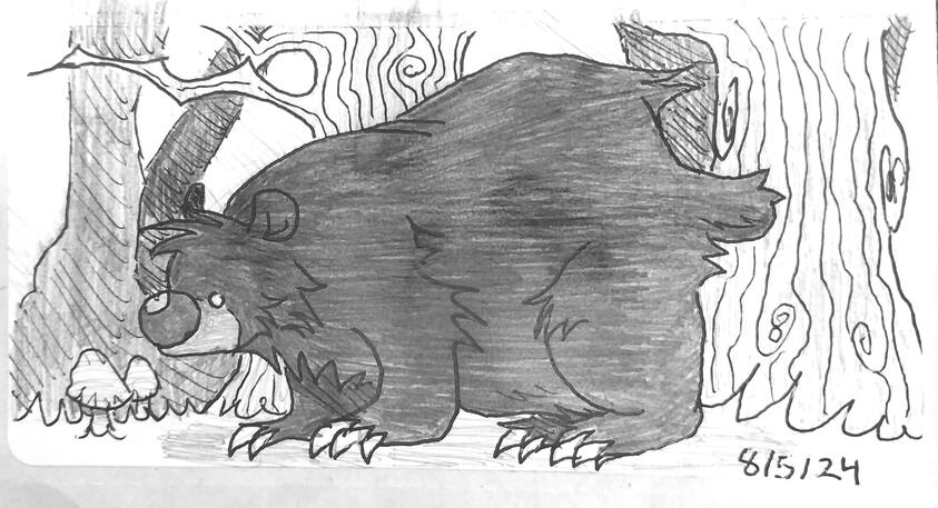 8/5/24 bear