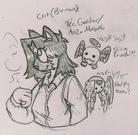 1/4/26 cat